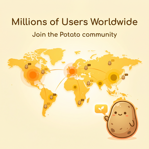 POTATO品牌 - Potato官网投资者关系：财务报告、股东信息、投资机会