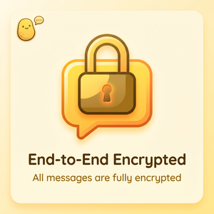 POTATO品牌 - Potato官网隐私设置教程：消息加密、阅后即焚、自毁功能